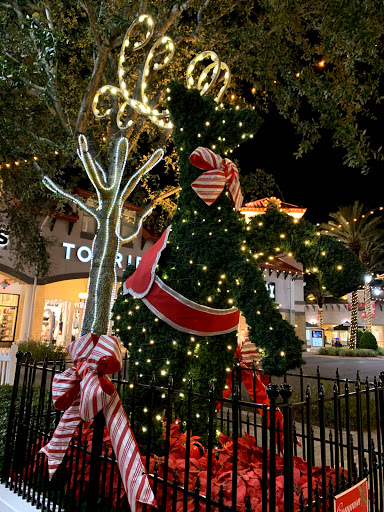 Movie Theater «AMC Destin Commons 14», reviews and photos, 4000 Legendary Dr, Destin, FL 32541, USA