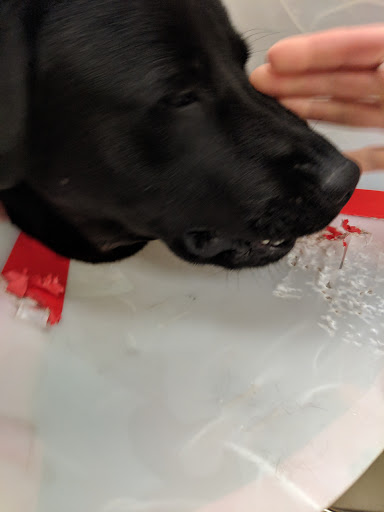 Animal Protection Organization «Butler County Humane Society», reviews and photos