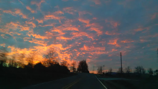 Discount Store «Dollar General», reviews and photos, 27607 US-65, Western Grove, AR 72685, USA