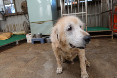 中華民國保護動物協會所屬八里保育場