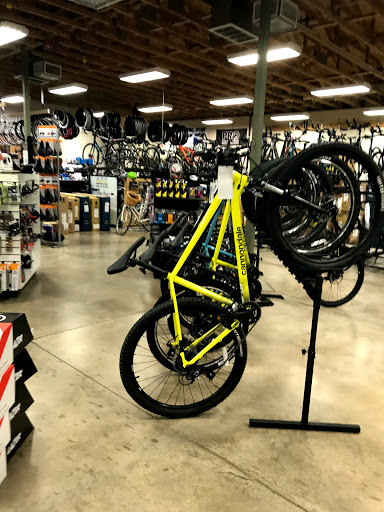 Bicycle Store «Playtri», reviews and photos, 7171 Colleyville Blvd, Colleyville, TX 76034, USA