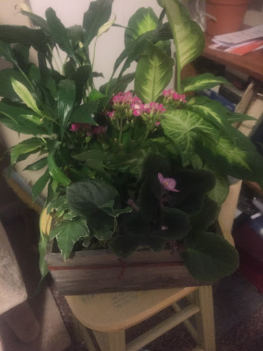 Florist «Simple Elegance Floral», reviews and photos, 13692 E Alameda Ave, Aurora, CO 80012, USA