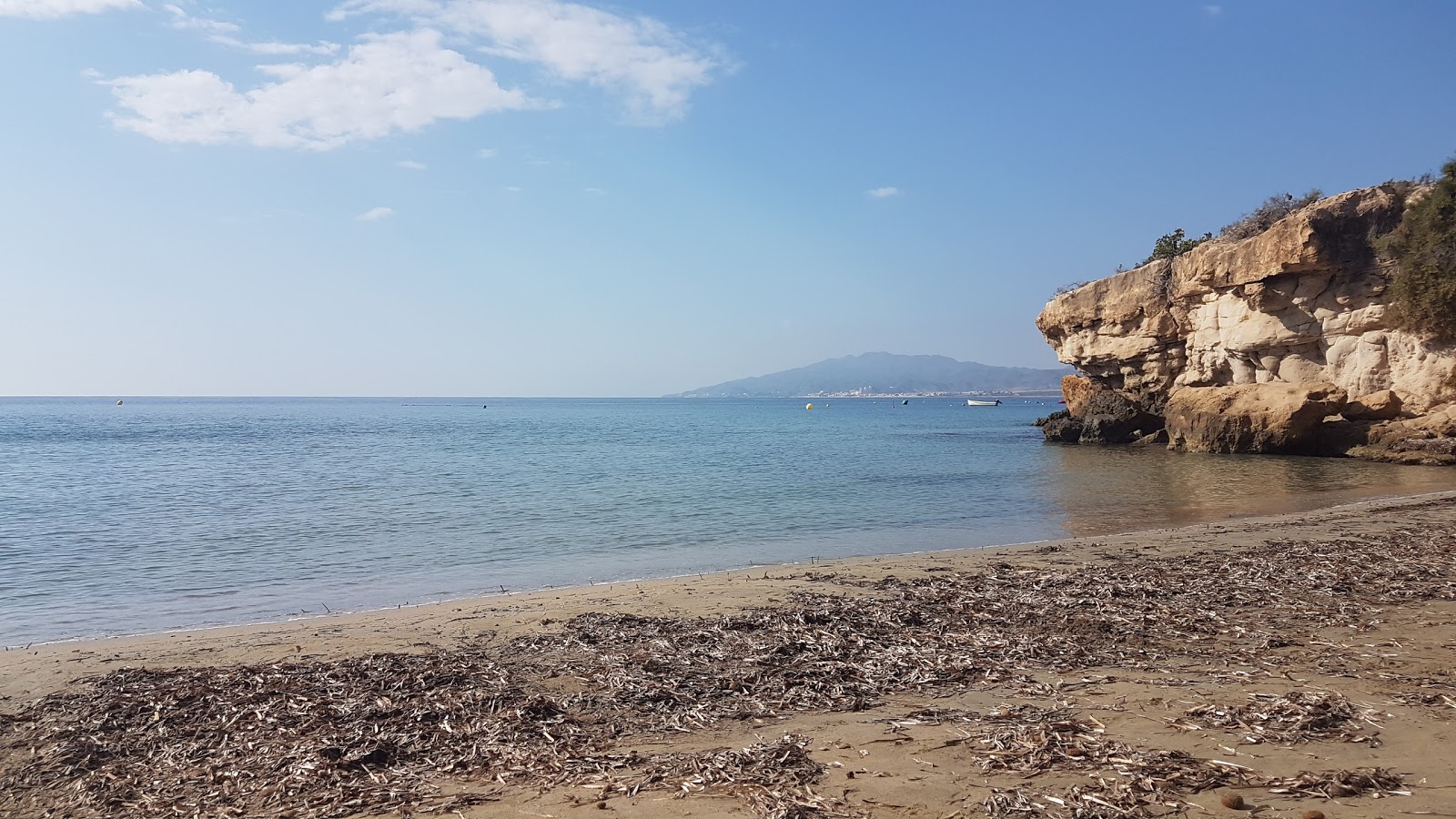 Foto af Cala Costa Tranquila beliggende i naturområde