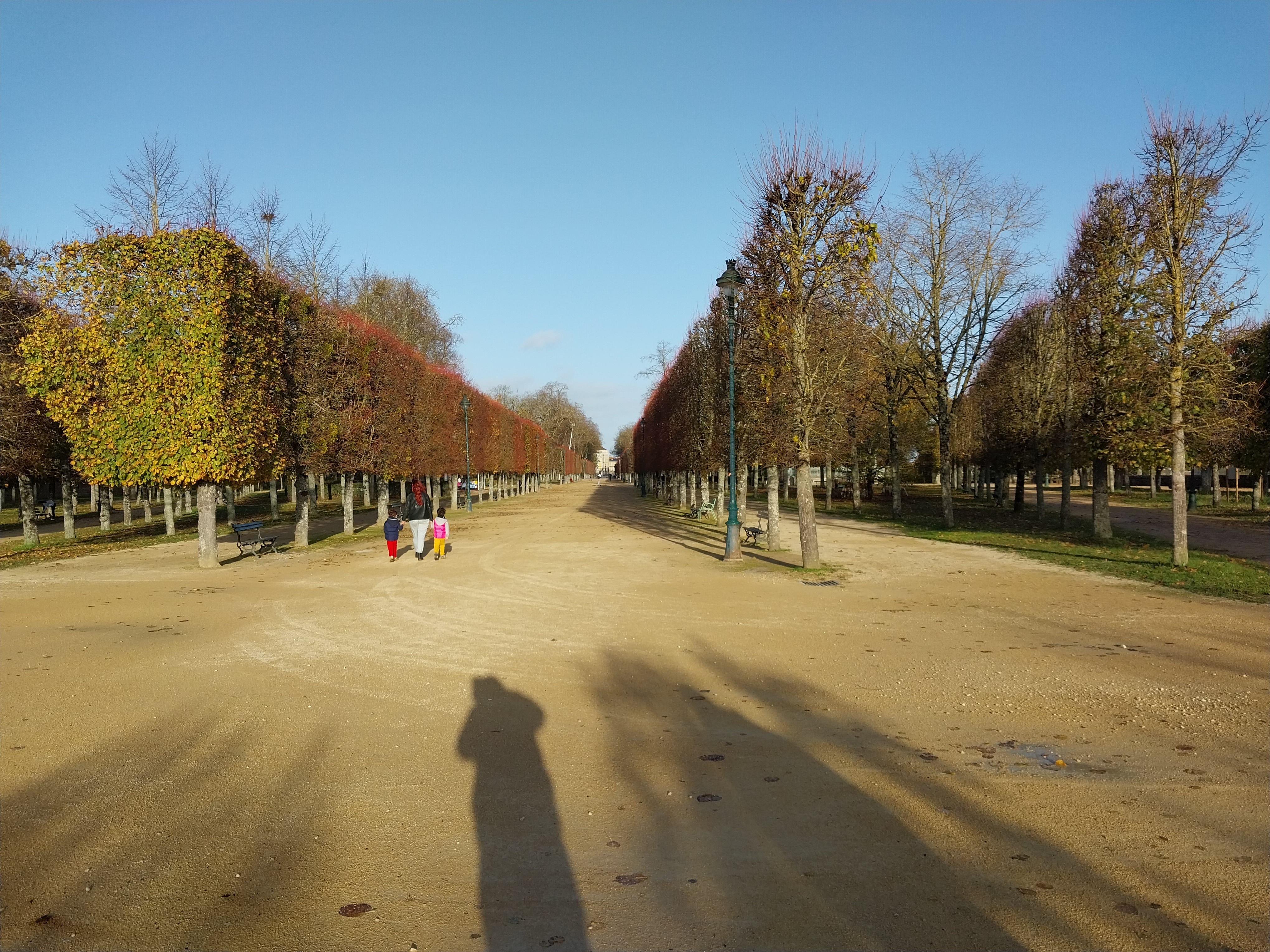 Photo n° 5 de l'avis de Luc.r fait le 23/11/2022 à 19:07