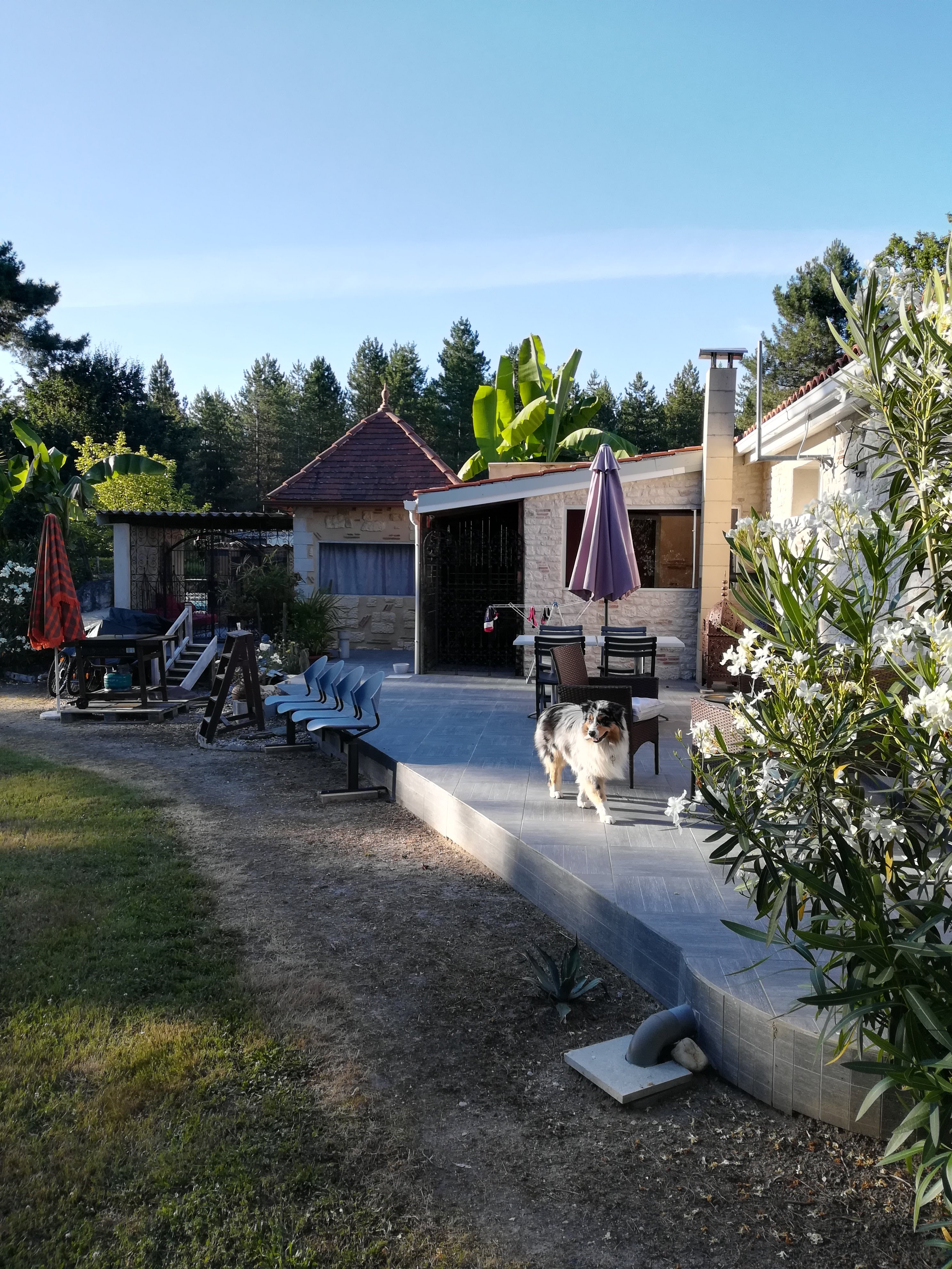 Photo n° 5 de l'avis de Aurore.U fait le 14/07/2020 à 09:00