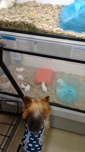 Pet Supply Store «Petco Animal Supplies», reviews and photos, 5925 US-6, Portage, IN 46368, USA