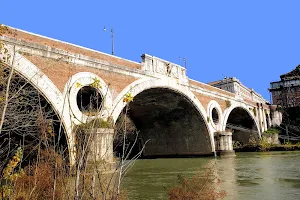 Ponte Giacomo Matteotti image