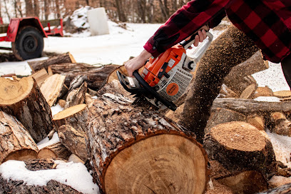 Black Bear Tree Company
