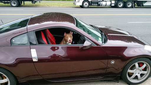 Auto Body Shop «Auto America Service», reviews and photos, 3860 S Four Mile Run Dr, Arlington, VA 22206, USA