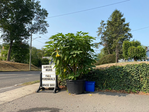 Florist «Butler Florist & Garden Center», reviews and photos, 416 Park Rd, West Hartford, CT 06119, USA