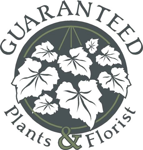 Florist «Guaranteed Plants & Florist», reviews and photos, 504 Locust Point Rd, Rumson, NJ 07760, USA