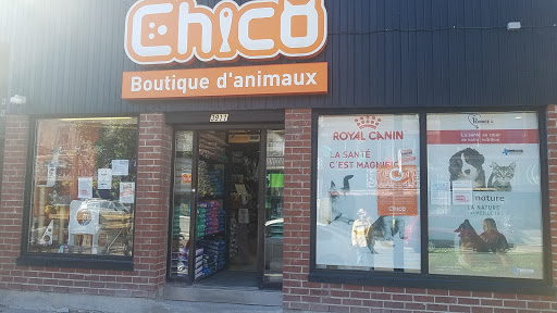 Boutique d’animaux Chico Rue Ontario E (Montréal)