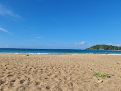 Woolleys Bay Beach'in fotoğrafı uçurumlarla desteklenmiş