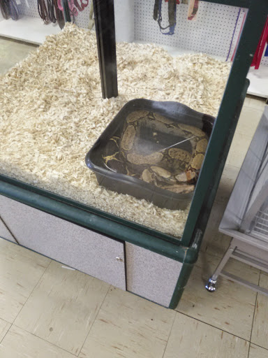 Pet Store «Species Pet Supply», reviews and photos, 1935 W Brandon Blvd, Brandon, FL 33511, USA