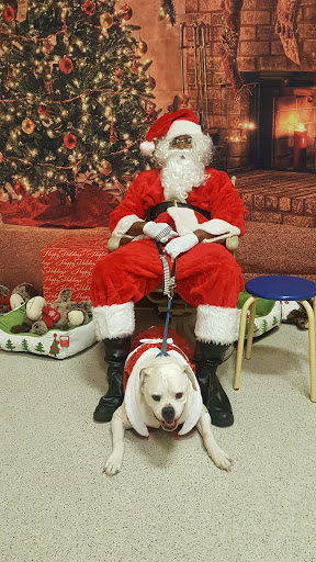 Pet Supply Store «PetSmart», reviews and photos, 4900 Monticello Ave, Williamsburg, VA 23188, USA