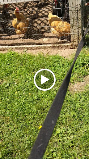 Nature Preserve «DeVries Nature Conservancy», reviews and photos, 2635 N Michigan 52, Owosso, MI 48867, USA