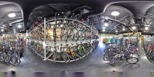 Bicycle Store «Global Bikes - Ahwatukee Bike Shop», reviews and photos, 3636 E Ray Rd #6, Phoenix, AZ 85044, USA