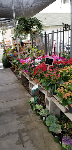 Florist «Plant Safari», reviews and photos, 653 N Central Ave, Upland, CA 91786, USA
