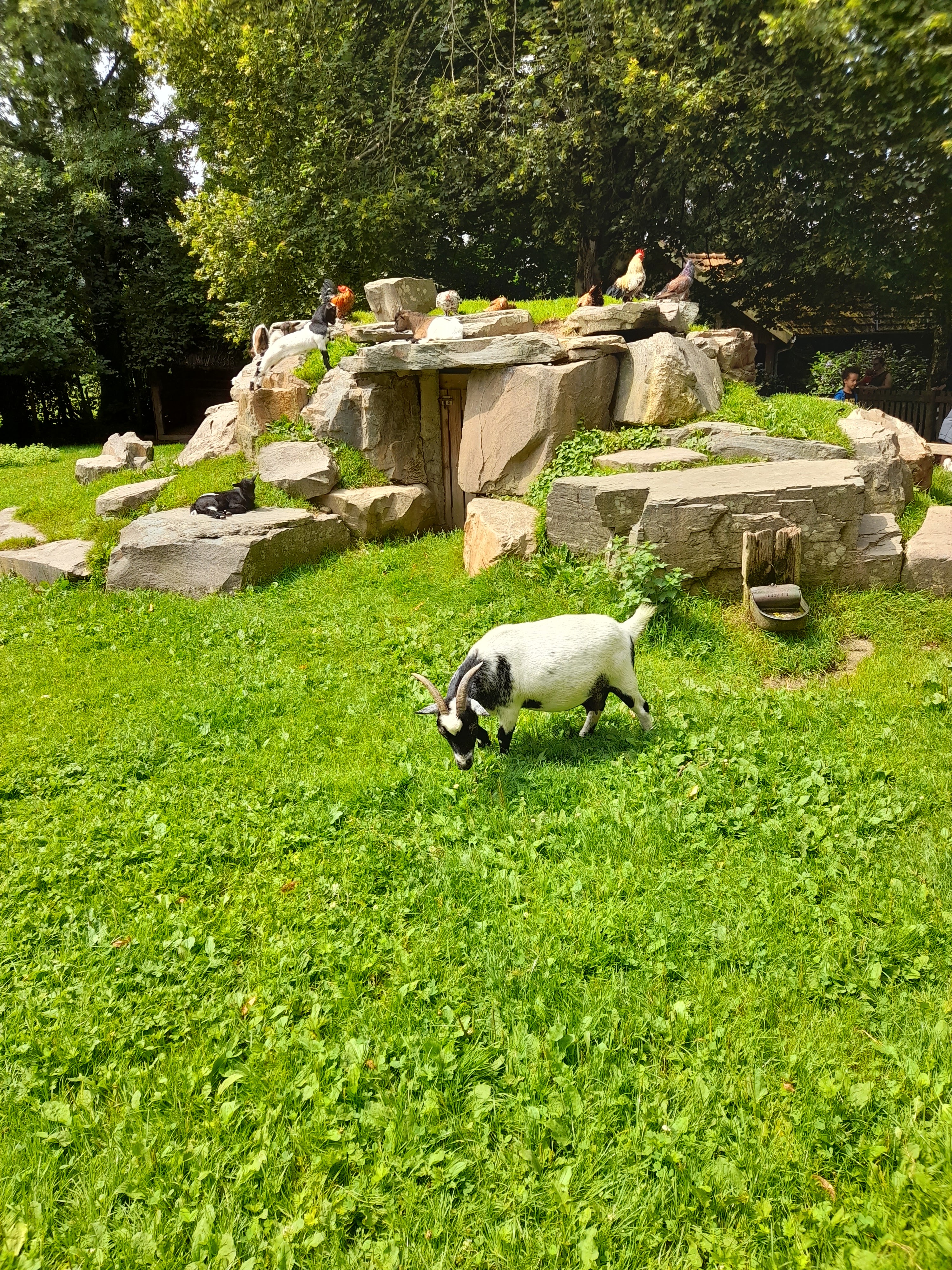 Photo n° 4 de l'avis de Régine.u fait le 26/07/2021 à 13:45