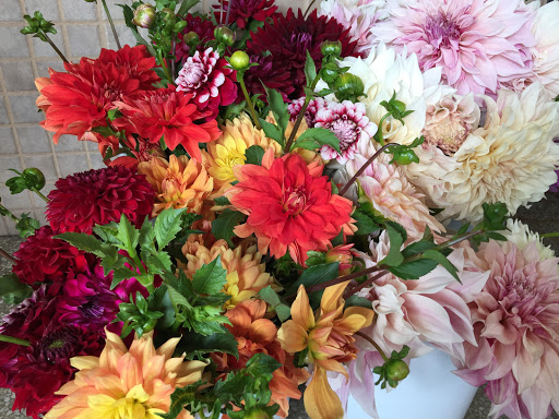 Florist «Jephry Flower Studio», reviews and photos, 432 Broadway, Providence, RI 02909, USA