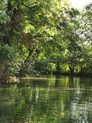 Balade en barque à Jonzac