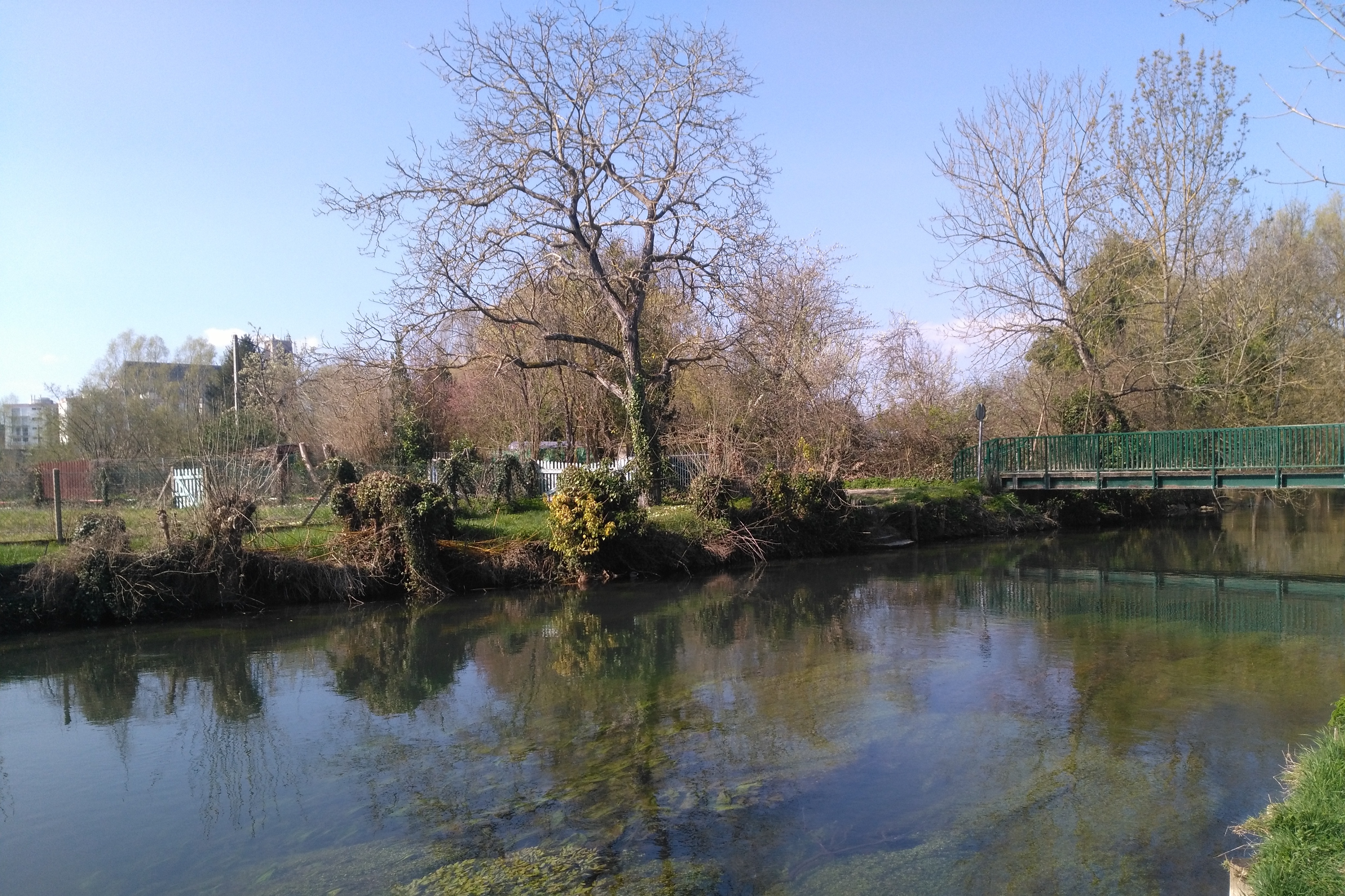 Photo n° 4 de l'avis de jean-marc.e fait le 27/03/2019 à 17:54