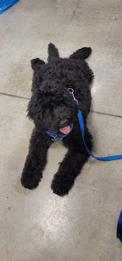 Pet Supply Store «PetSmart», reviews and photos, 3610 Rosecrans St, San Diego, CA 92110, USA