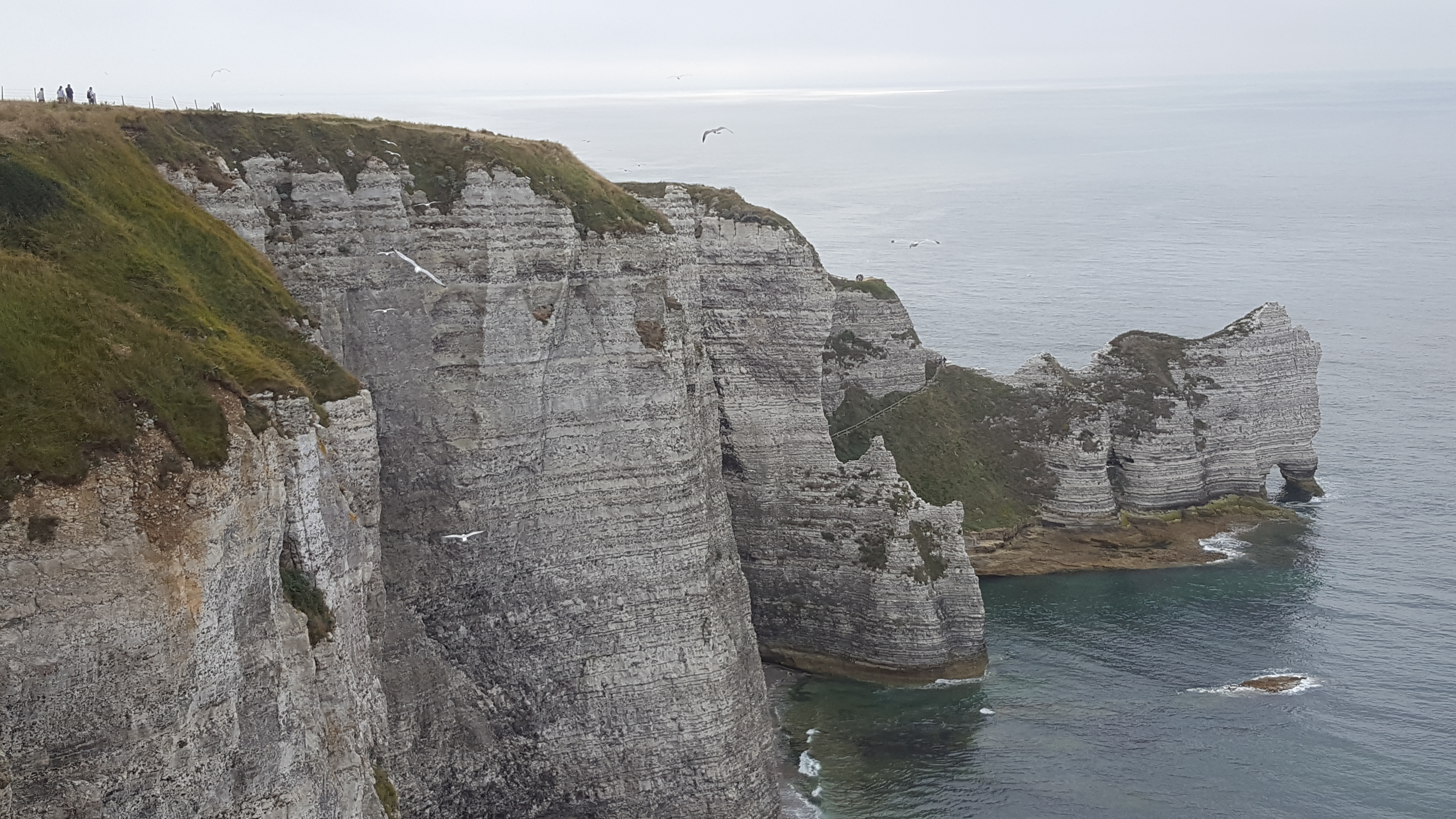 Photo n° 2 de l'avis de lacroix.l fait le 25/08/2018 à 08:40