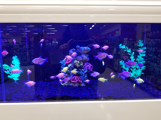 Pet Supply Store «Petco Animal Supplies», reviews and photos, 187 Stonebrook Pl, Jackson, TN 38305, USA