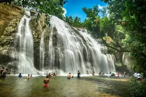 Anayadikuthu Waterfalls image