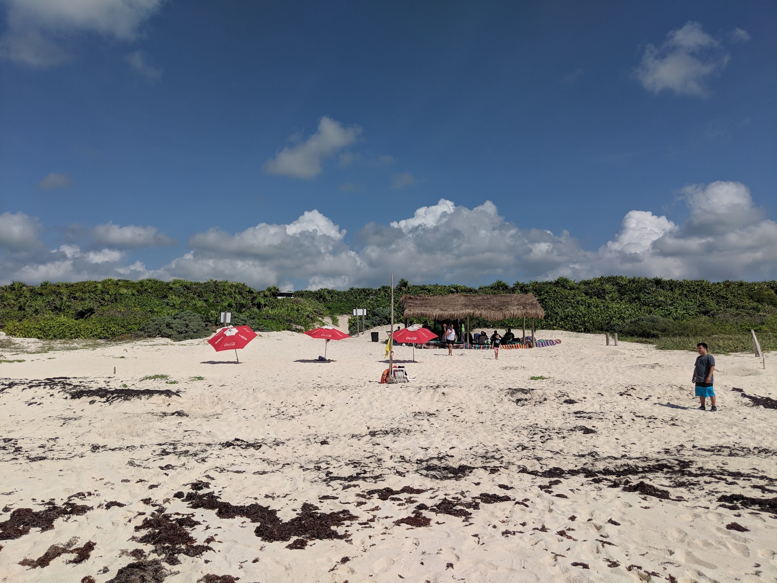 Photo de Ixpalbarco Beach situé dans une zone naturelle