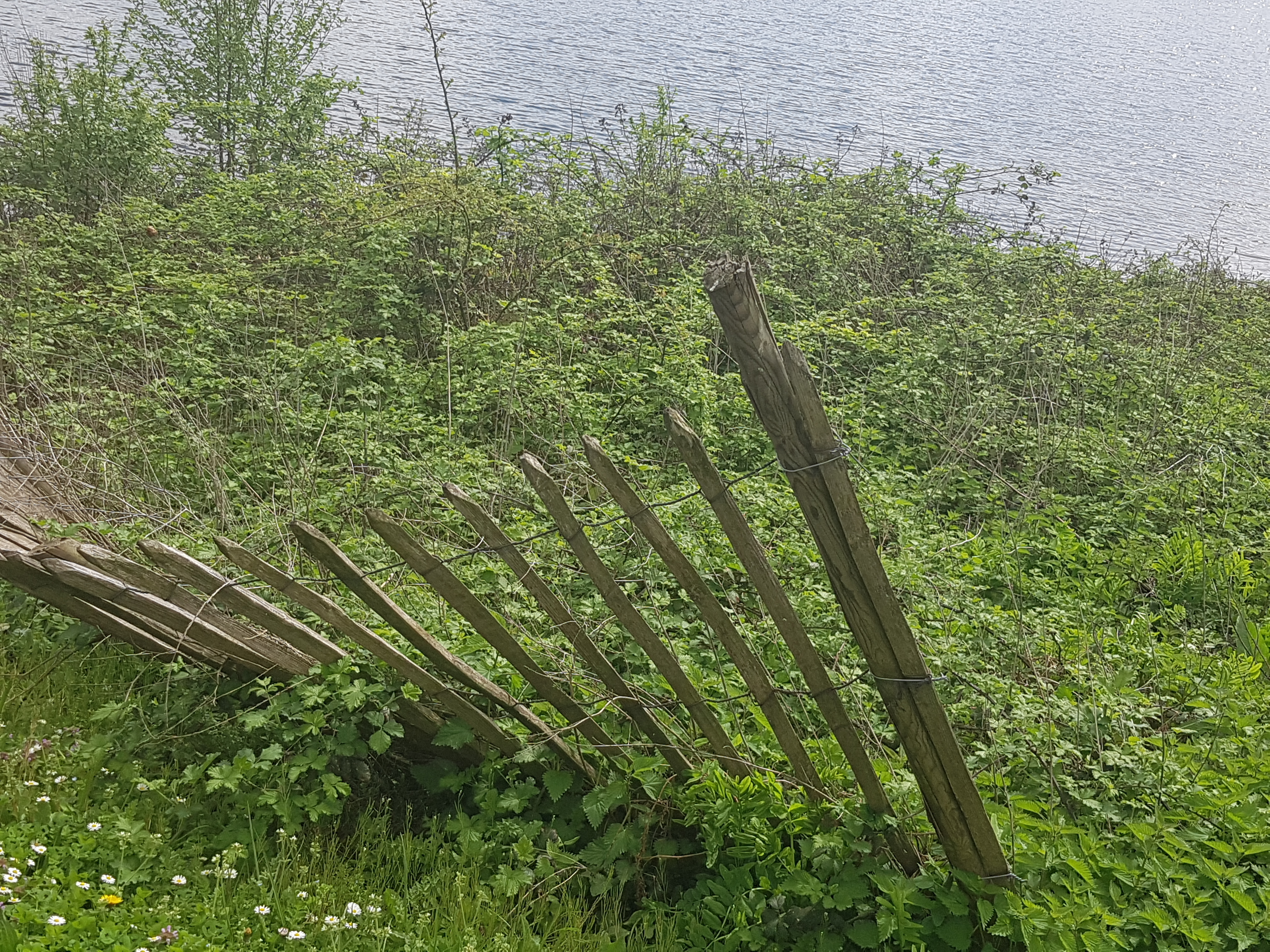 Photo n° 21 de l'avis de Mériame. fait le 16/04/2018 à 15:22
