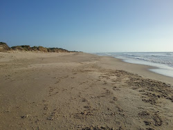 Zdjęcie McGauran Beach z powierzchnią turkusowa czysta woda