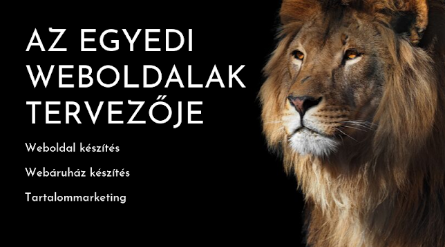 LION Web & Dekor Kft. - Szeged