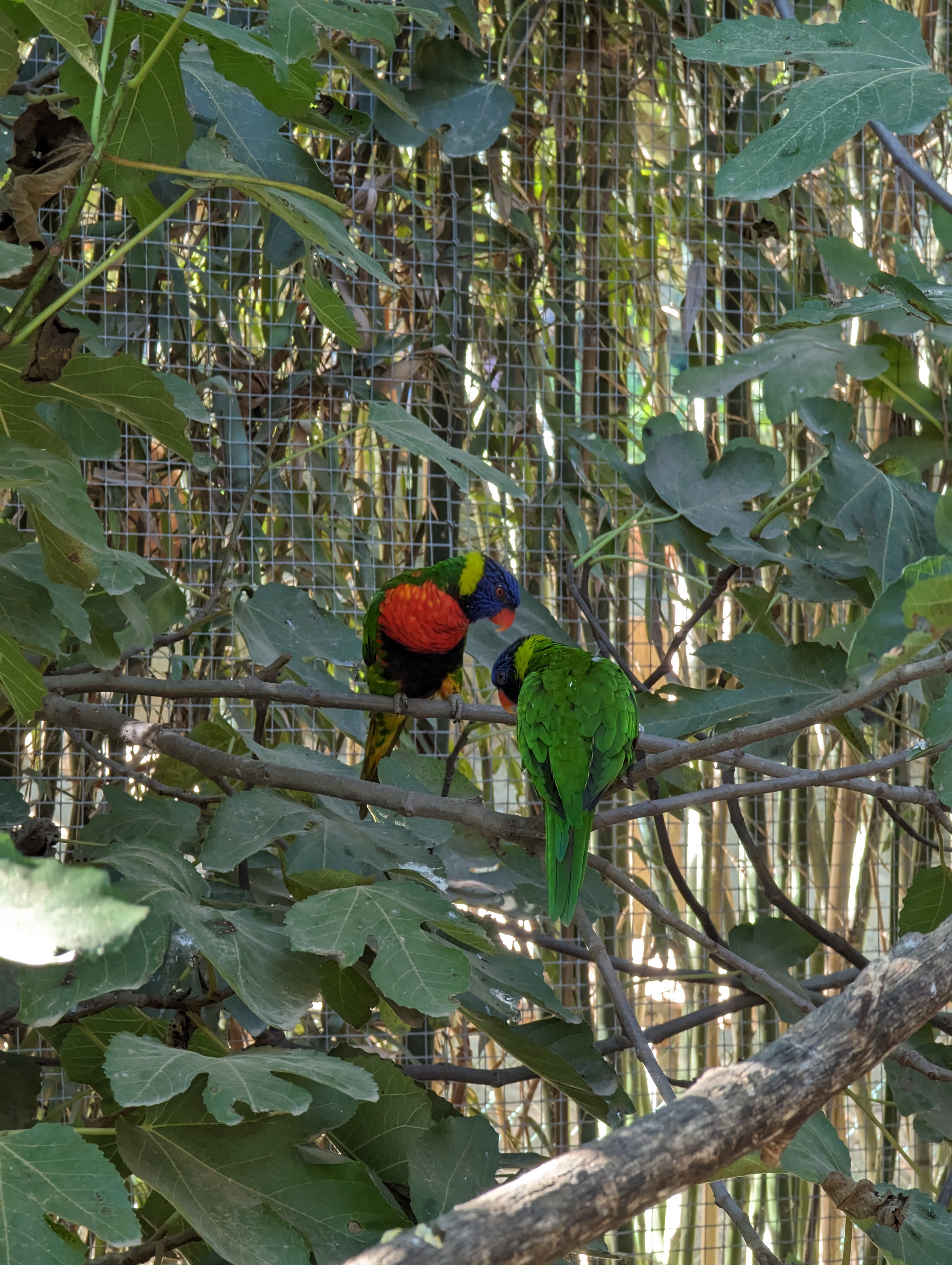 Photo n° 36 de l'avis de Thibaud.l fait le 10/10/2023 à 07:10