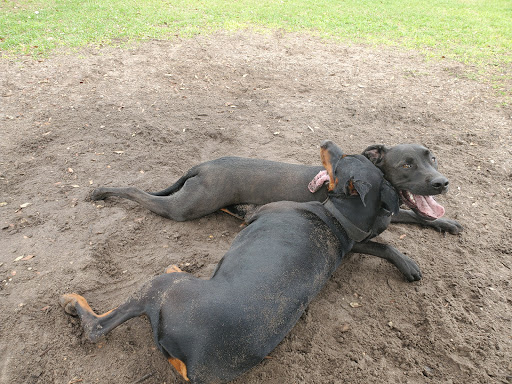 Park «Creekwood Park», reviews and photos, 7025 44th Ave E, Bradenton, FL 34205, USA