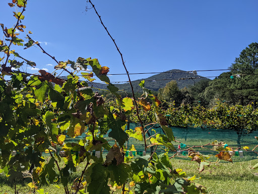 Winery «Sharp Mountain Vineyards», reviews and photos, 110 Rathgeb Trail, Jasper, GA 30143, USA