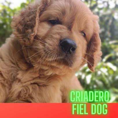 Criadero Fiel dog