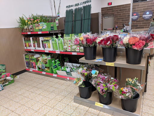 Supermarket «ALDI», reviews and photos, 4082 Belden Village St NW, Canton, OH 44718, USA