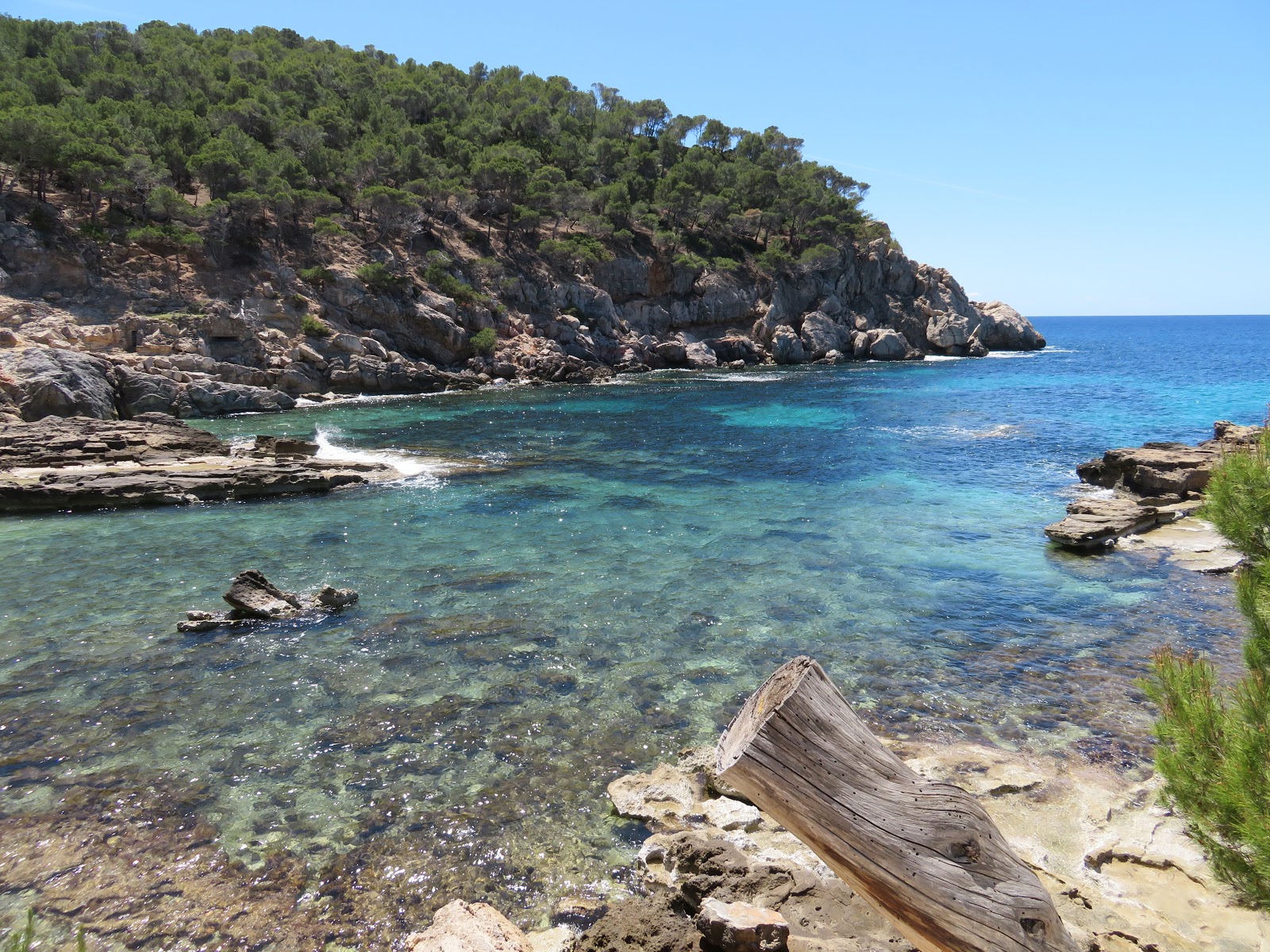 Foto av Playa Cala Conills med turkos rent vatten yta