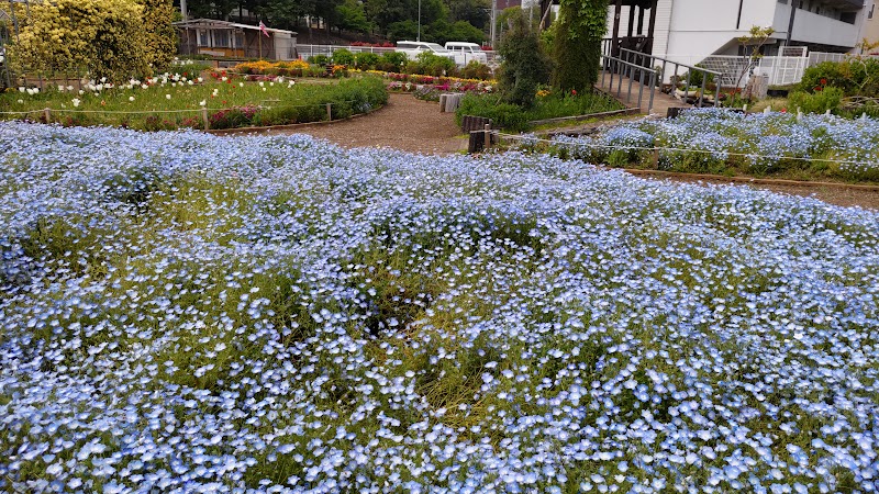 陽だまり公園