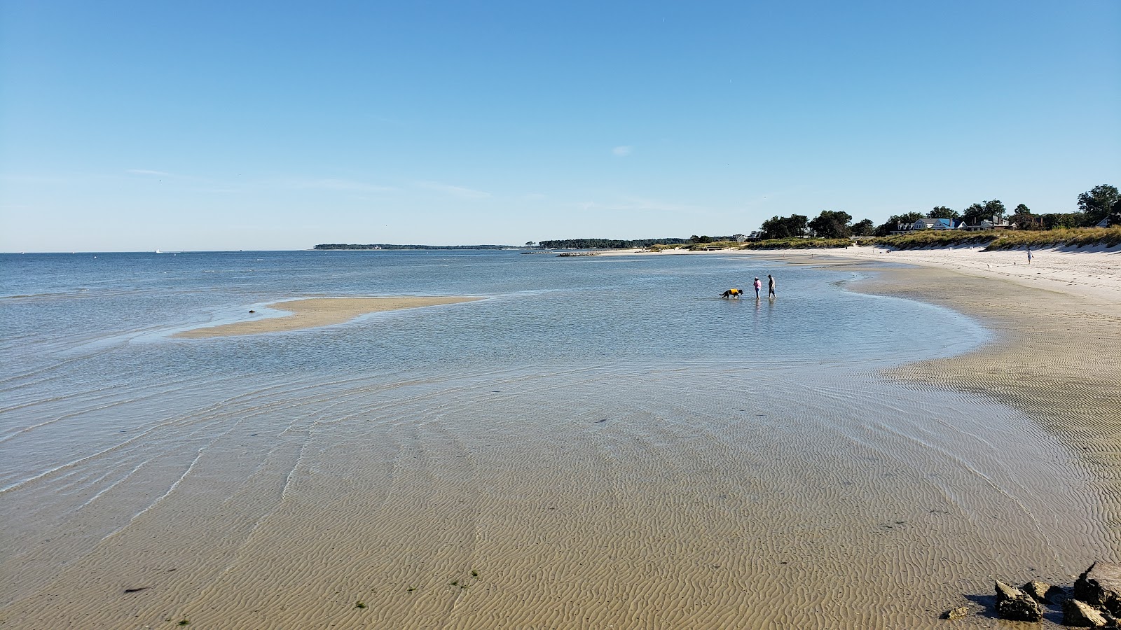 Cape charles beach'in fotoğrafı - rahatlamayı sevenler arasında popüler bir yer