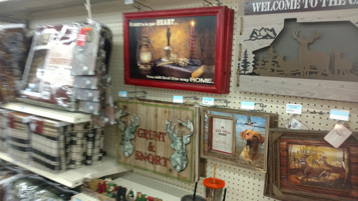 Home Improvement Store «Tractor Supply Co.», reviews and photos, 11946 Leslie Rd, Helotes, TX 78023, USA