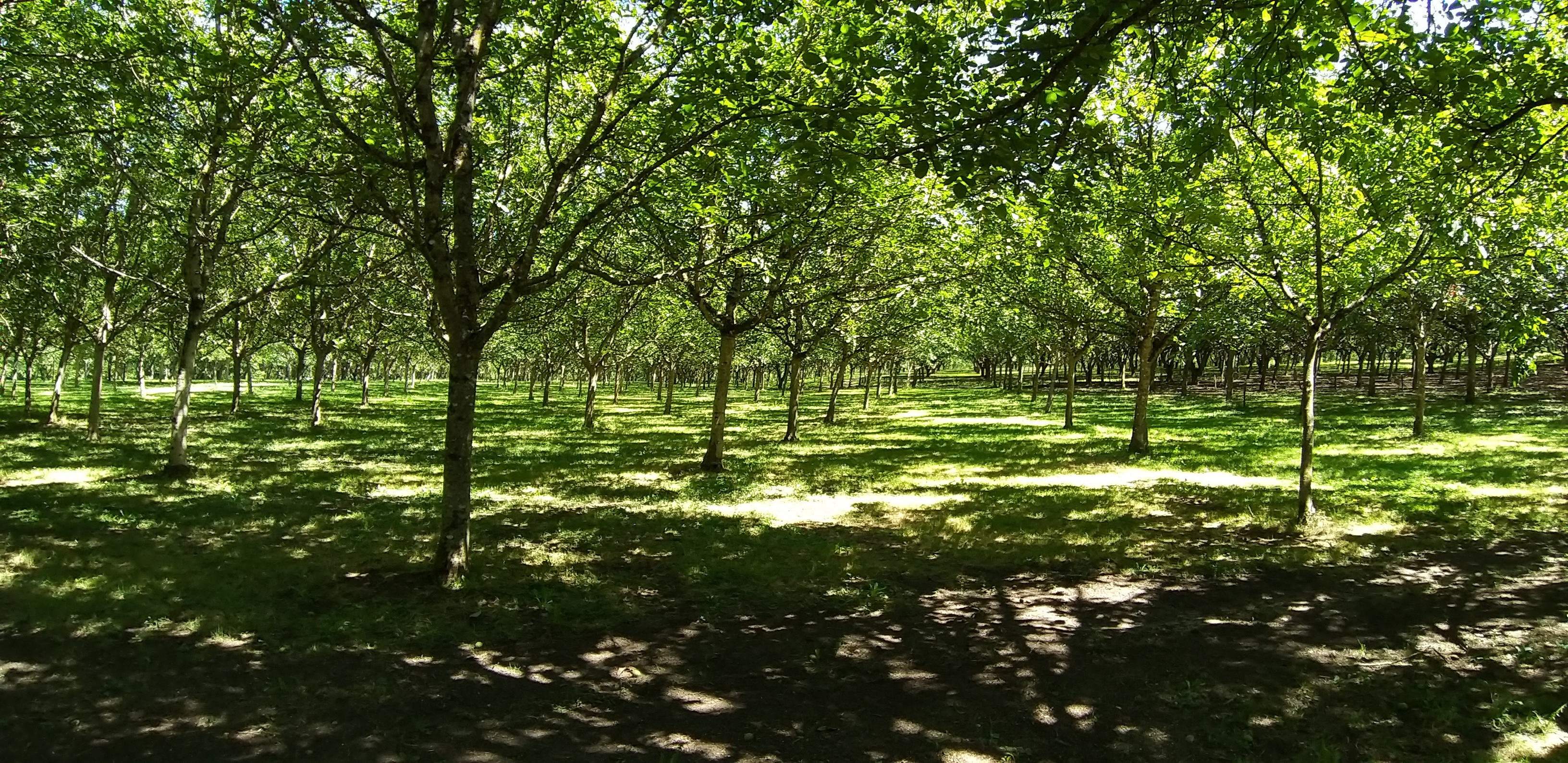 Photo n° 5 de l'avis de Franck.u fait le 29/07/2019 à 20:34