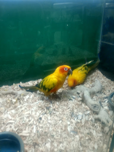 Pet Store «Pet City», reviews and photos, 14200 E Alameda Ave #2036, Aurora, CO 80012, USA
