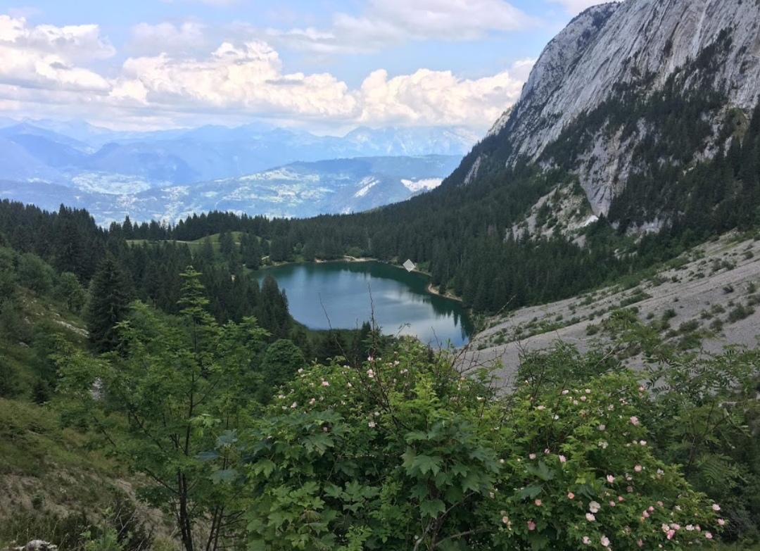 Photo n° 1 de l'avis de Fofie.8 fait le 14/07/2019 à 16:33