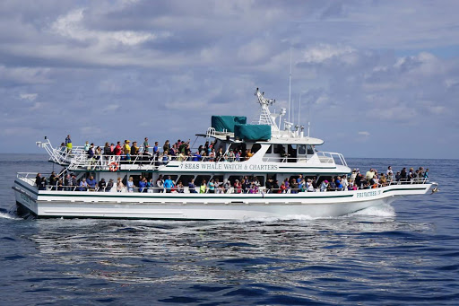 Whale Watching Tour Agency «Cape Ann Whale Watch», reviews and photos, 415 Main St, Gloucester, MA 01930, USA