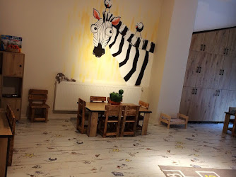 Dimari Koleji / Özel Dimağ Ritmi Anaokulu