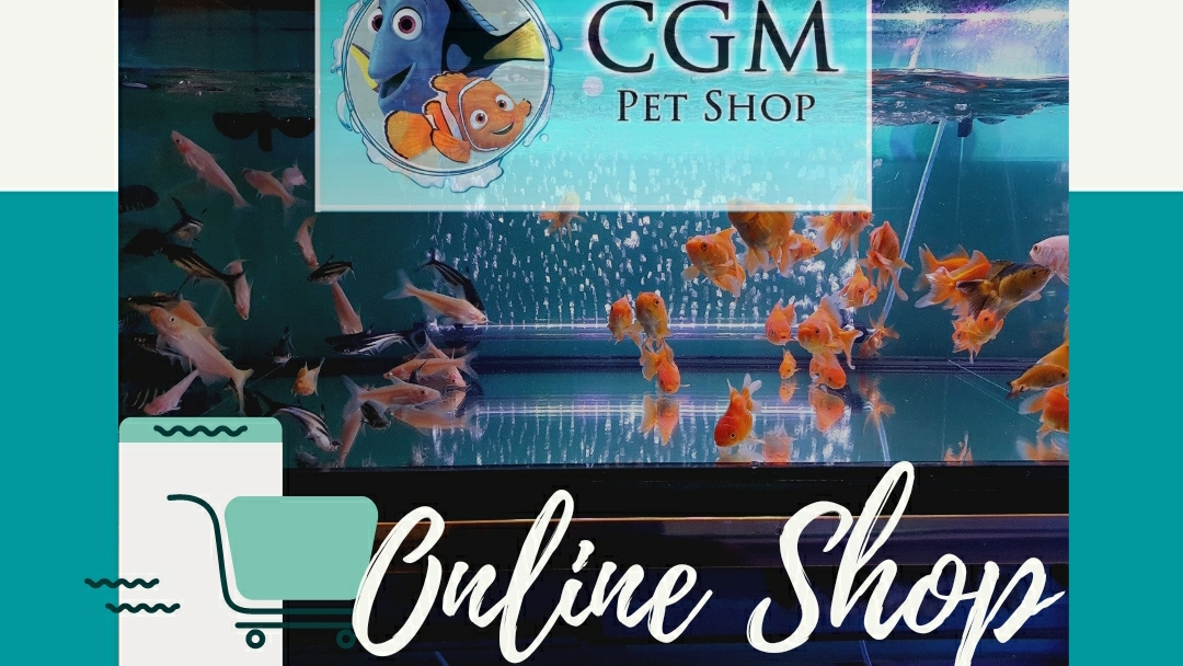 CGM Petshop and Pawfect Pet Salon