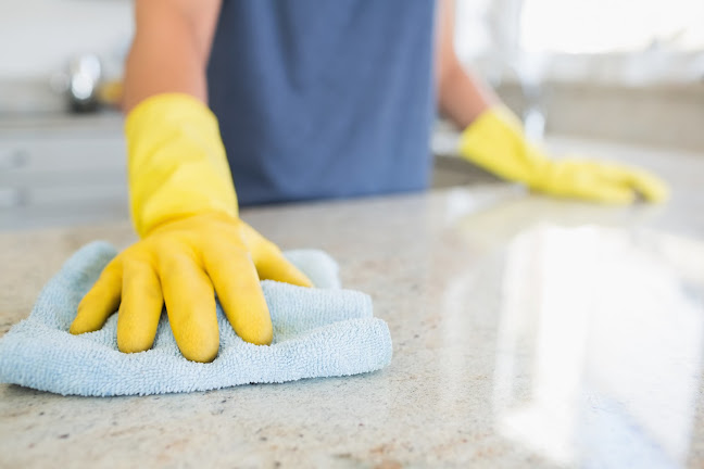 The Home Maid - House cleaning service